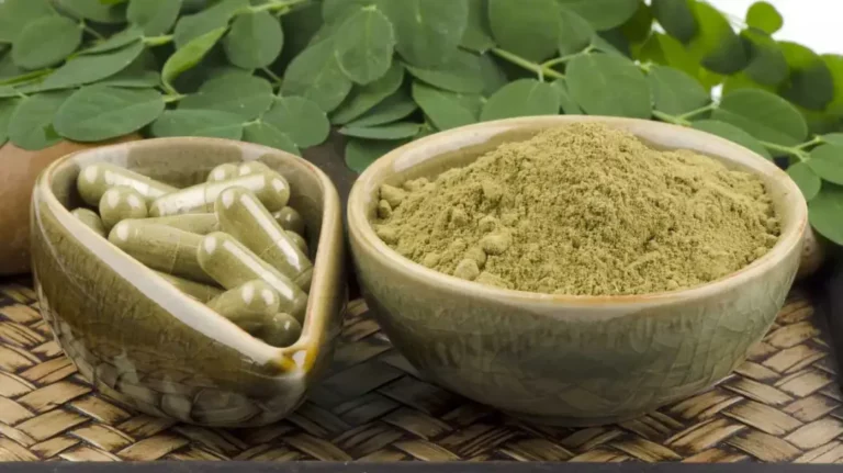 What Does Moringa Taste Like? A Friendly Guide to This Nutritious Superfood